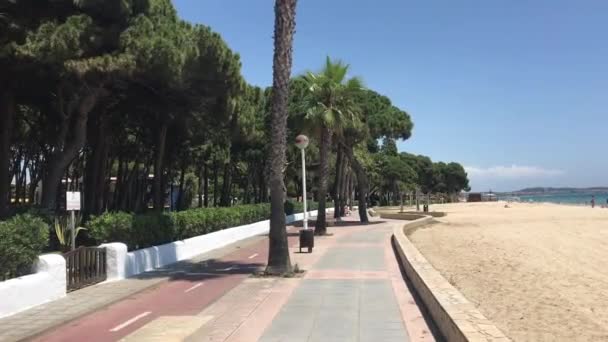 Cambrils, Espagne, Un palmier sur un trottoir — Video