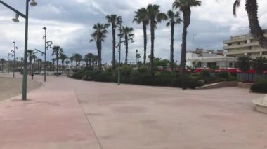 La-Pineda, İspanya, bir palmiye ağacı