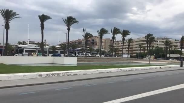 La-Pineda, Spain, An empty street next to a palm tree — Stock Video