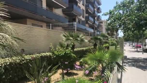 La-Pineda, España, Un edificio junto a una palmera — Vídeo de stock