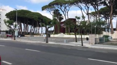 La-Pineda, İspanya, Palmiye ağaçlarıyla dolu bir sokak ve arka planda bir bina.