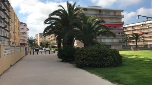 La-Pineda, Spanien, ett palmträd framför en byggnad — Stockvideo