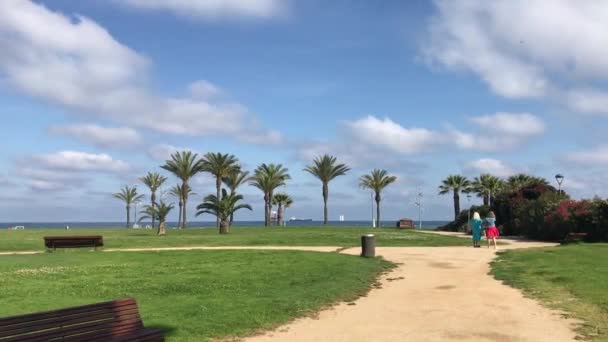 La-Pineda, Spain, June 25 2019: An empty park bench next to a tree — Stock Video