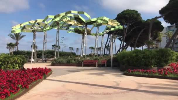 La-Pineda, España, Una palmera — Vídeos de Stock