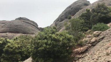 Montserrat, İspanya, Arkasında ağaçlar olan kayalık bir dağ