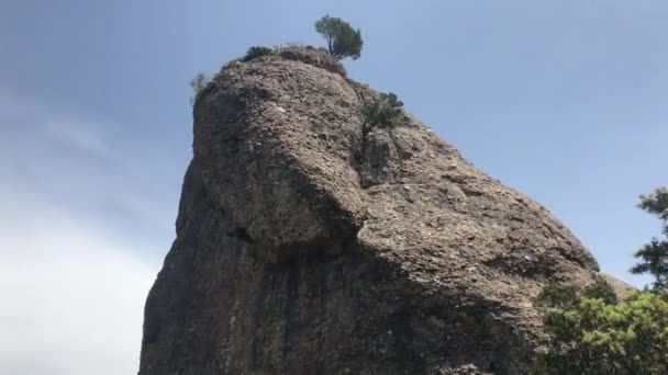 Montserrat, İspanya Büyük bir kayanın önündeki bir ağaç — Stok video