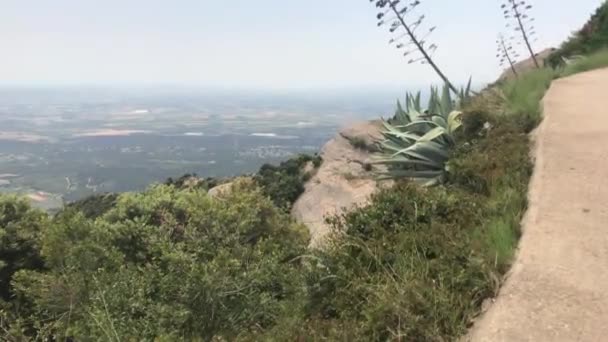 Montserrat, Espagne, Un arbre avec une montagne en arrière-plan — Video