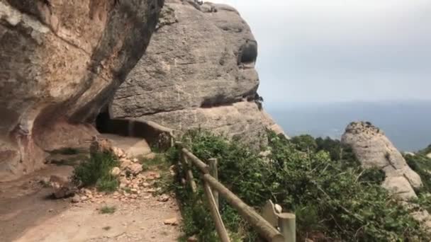 Montserrat, España, Un pájaro de pie sobre una roca — Vídeo de stock