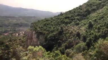 Montserrat, İspanya, Arkasında dağ olan bir ağaç