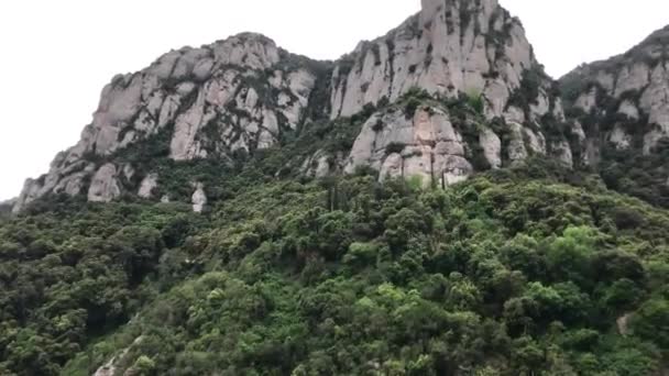 Montserrat, Espagne, Un arbre devant un grand rocher — Video