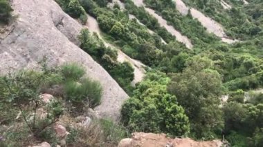 Montserrat, İspanya, kayalık bir dağın tepesinde duran bir grup zürafa.