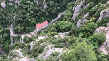 Montserrat, İspanya, Ormandaki büyük bir ağaç