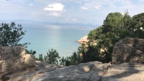西班牙，萨卢，一棵大岩石前的树 — 图库视频影像