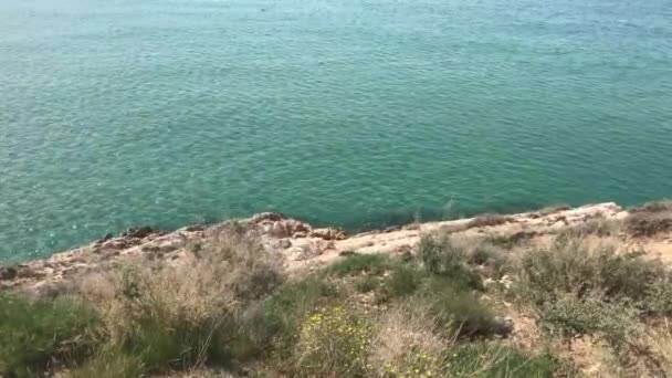 Salou, Spanien, En närbild av en sten bredvid en vattensamling — Stockvideo
