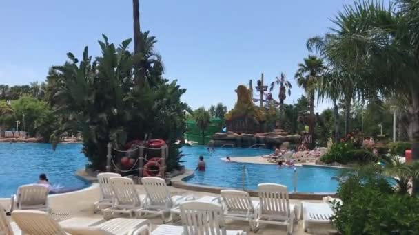 Salou, İspanya, su havuzunun yanında bir grup palmiye ağacı. — Stok video