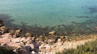 Salou, İspanya, bir koyun sürüsü bir su kütlesinin yanında duruyor.