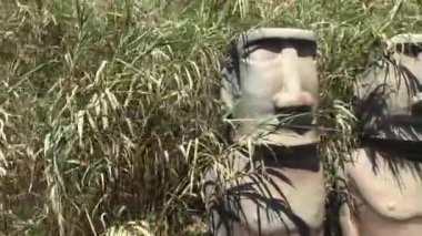 Salou, İspanya, biraz çimen yakın çekim