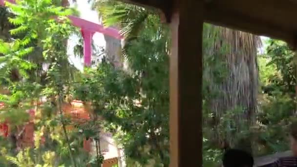スペインのサロウ窓の隣の木 — ストック動画