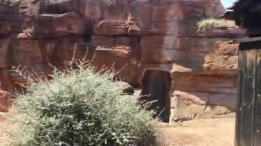 Salou, İspanya, Taştan bir binaya yakın.