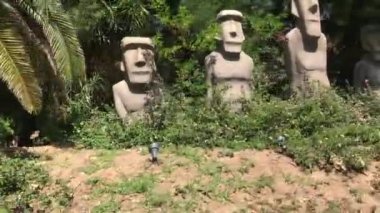 Salou, İspanya, Bir ağaca yakın çekim