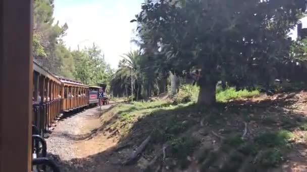 Salou, Hiszpania, Pociąg jadący w dół torów kolejowych w pobliżu lasu — Wideo stockowe