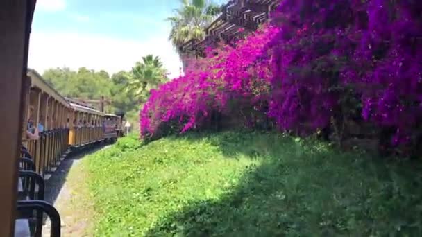 Salou, İspanya, arkasında ağaçlar olan tren yolu. — Stok video