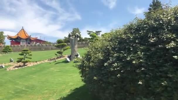 Salou, Hiszpania, Drzewo przed domem — Wideo stockowe