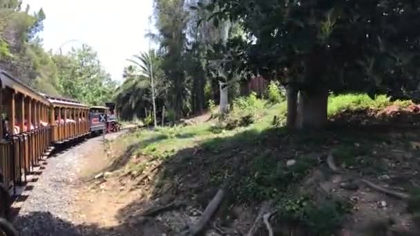 Salou, Espagne, Un train descendant les voies ferrées près d'un arbre — Video