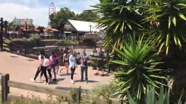 Salou, España, Un grupo de personas de pie junto a una palmera — Vídeo de stock