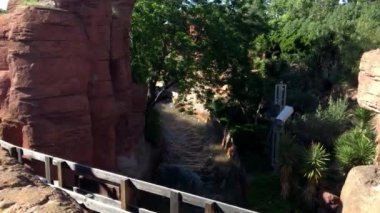 Salou, İspanya, Binanın önündeki bir ağaç