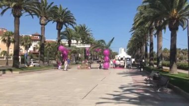 Salou, İspanya, yol kenarında bir grup palmiye ağacı.