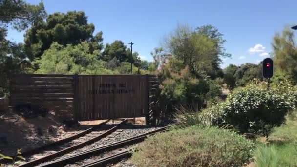 Salou, Hiszpania, Pociąg na torze kolejowym z drzewami w tle — Wideo stockowe