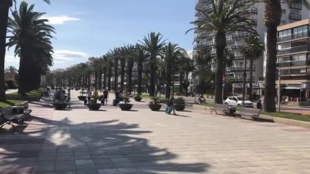 Салоу, Испания, Городская улица с пальмовыми деревьями — стоковое видео