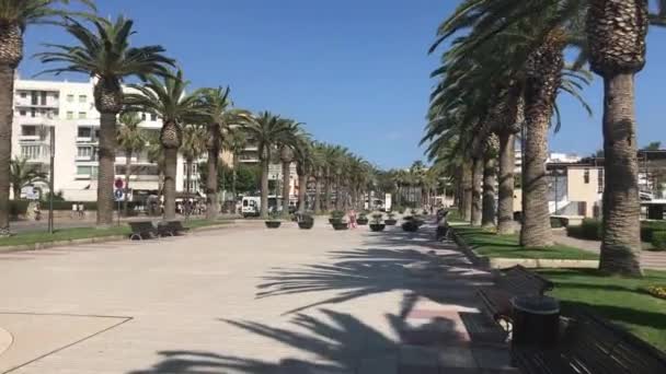 Salou, España, Un banco vacío junto a una palmera — Vídeos de Stock