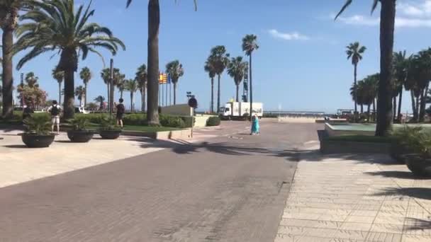 Salou, Spagna, Un gruppo di palme — Video Stock