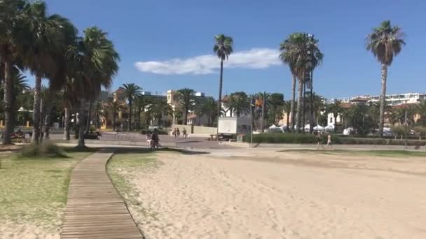 Salou, İspanya, Palmiyeli bir plaj — Stok video