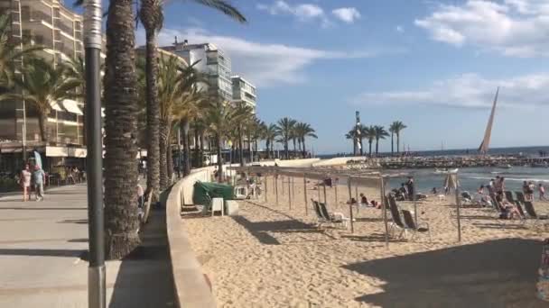 Salou, İspanya, arka planda bir bina bulunan bir grup palmiye ağacı — Stok video