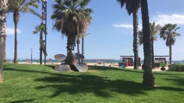 Salou, İspanya, Palmiye ağacının önünde büyük bir çim