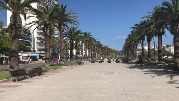 Salou, Hiszpania, Palma na chodniku — Wideo stockowe