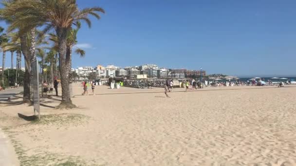 Salou, Spanje, Een groep palmbomen op een strand — Stockvideo