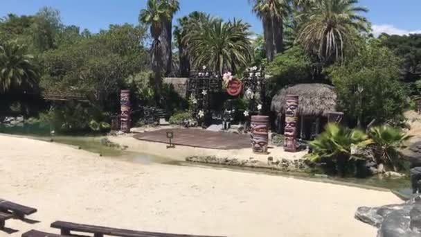Salou, İspanya, Palmiye ağacının yanında boş bir park bankı — Stok video