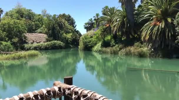 Salou, Hiszpania, Drzewo obok akwenu wodnego — Wideo stockowe