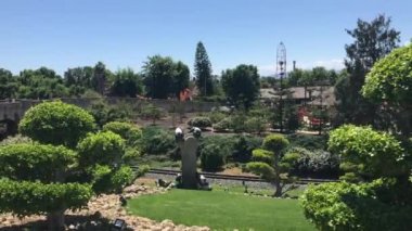 Salou, İspanya, Bahçedeki yeşil bir bitki