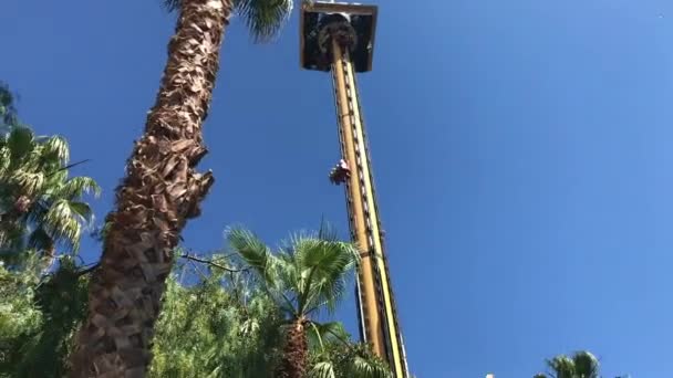 Salou, Espagne, Un panneau devant un palmier — Video