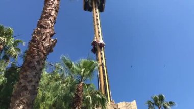 Salou, İspanya, Güneşli bir günde bir palmiye ağacı