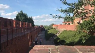 Warszawa, Polonya, Tuğla bir binanın önündeki ağaç