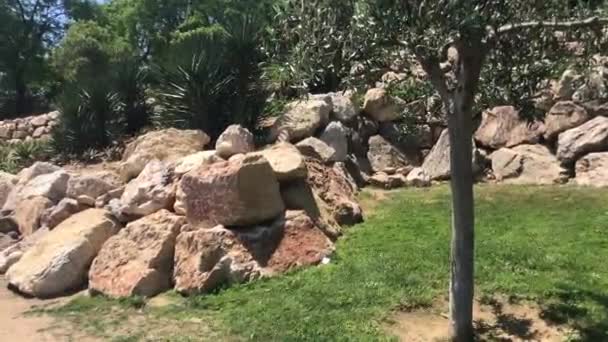 西班牙塔拉戈纳石墙旁边的一棵树 — 图库视频影像
