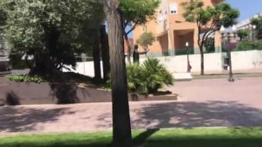 Tarragona, İspanya, Parkta bir ağaç