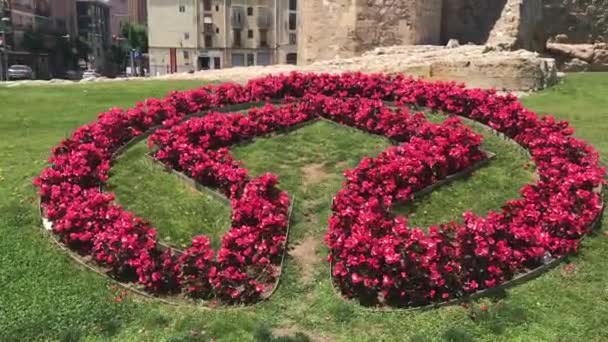 Tarragona, Spanien, Nahaufnahme eines Blumengartens — Stockvideo