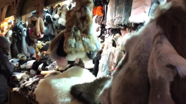 Cracovia, Polonia, Un grupo de animales de peluche — Vídeos de Stock
